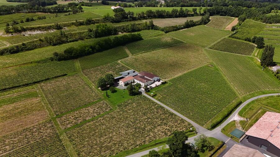 Château Petit Mangot's aperitif: charcuterie, cheeses, and wines - Key points to know