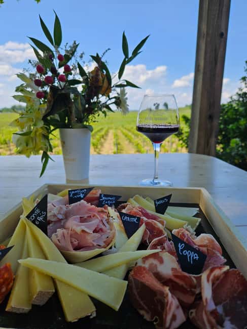 Château Petit Mangot's aperitif: charcuterie, cheeses, and wines - A small Saint-Émilion estate with a personal feel
