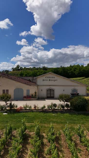 Château Petit Mangot's aperitif: charcuterie, cheeses, and wines - What the two-hour schedule feels like