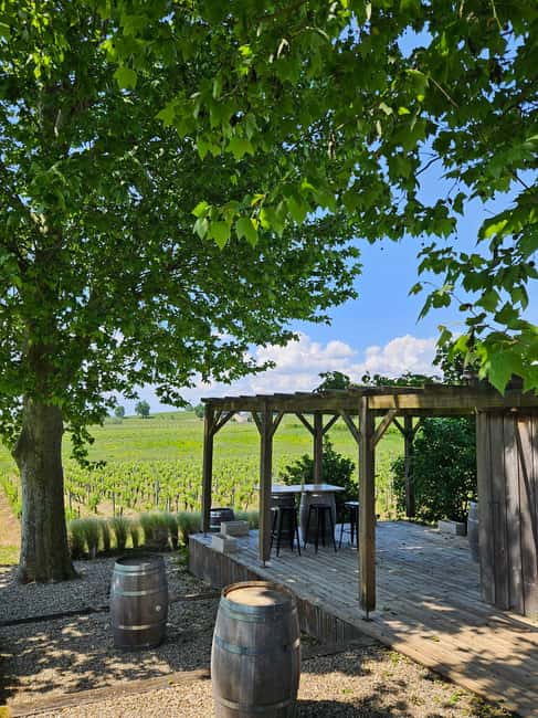 Château Petit Mangot's aperitif: charcuterie, cheeses, and wines - Inside the cellar, from grapes to red wine