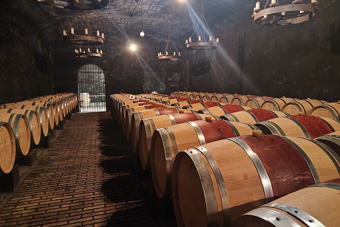 Chateauneuf du Pape and Luberon vineyard tour from Avignon - From Avignon to the vineyards of Châteauneuf-du-Pape