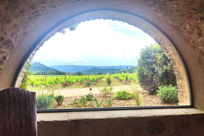Chateauneuf du Pape and Luberon vineyard tour from Avignon - What the private vehicle changes