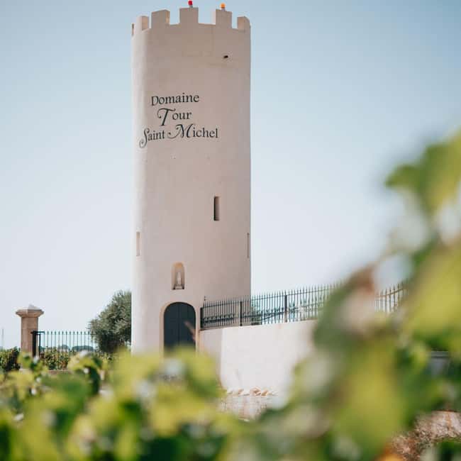 Châteauneuf-du-Pape: tour/tasting in the heart of Domaine Tour St Michel - The 30-minute cellar tour, from grapes to aging