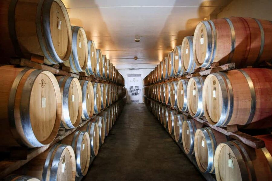 Châteauneuf du Pape: Visit the Alain Jaume vineyards and enjoy a gourmet meal - Who will enjoy this most