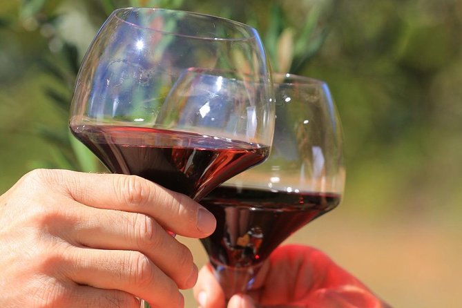 Châteauneuf du Pape Wine Day Tasting Tour including Lunch from Avignon - Séguret, Gigondas, and Vacqueyras add variety