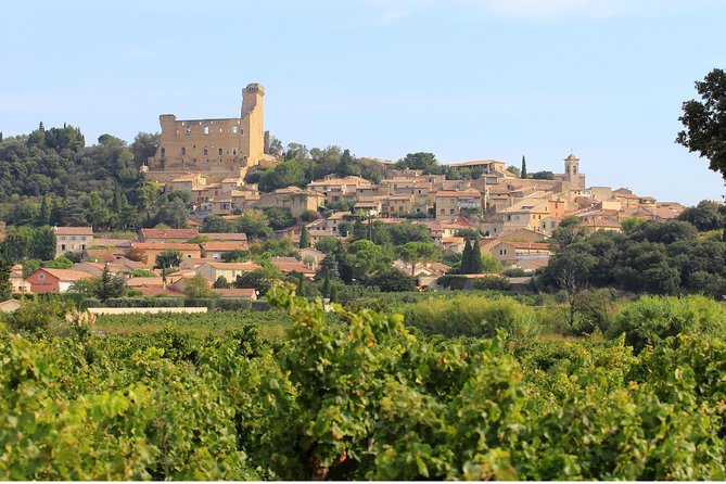 Châteauneuf du Pape Wine Day Tasting Tour including Lunch from Avignon - Is $193.57 a fair price?