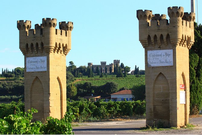 Châteauneuf du Pape Wine Day Tasting Tour including Lunch from Avignon - Practical details before you book