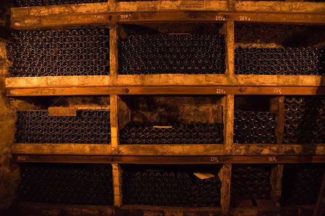 Chateauneuf du Pape wine tour - The vineyard introduction: start with soil, weather, and grapes