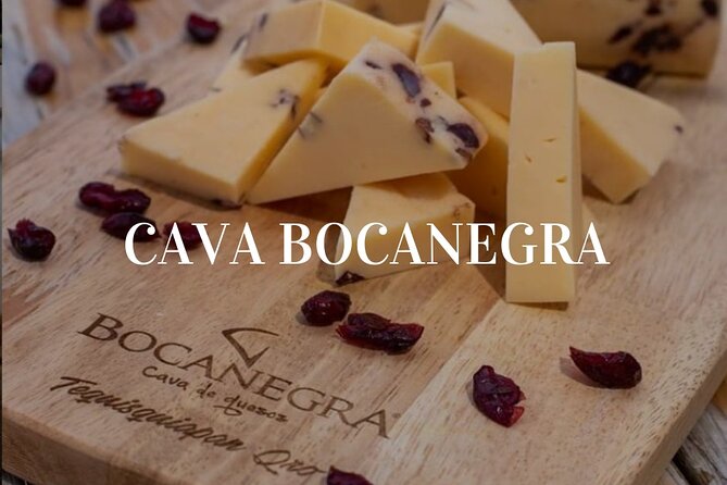 Cheese and Wine Route with 2 Towns, starting from Querétaro - Freixenet Mexico, 25 metres underground