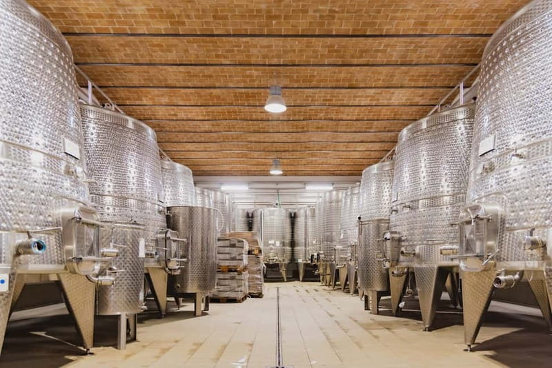 Chianciano Terme: Guided Winery Tour & Wine Tasting - Tasting Ivole, Galio, and Nu