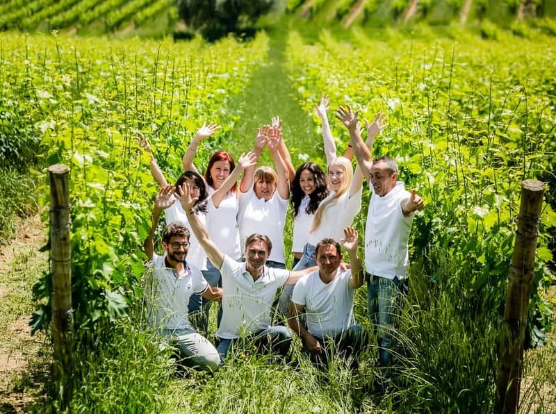 Chianciano Terme: Guided Winery Tour & Wine Tasting - The Estate Shop and What You Can Buy