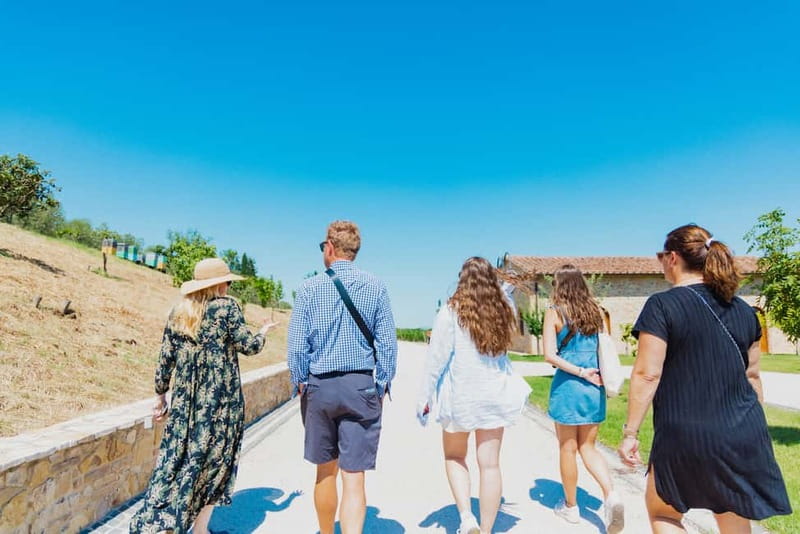Chianciano Terme: Guided Winery Tour & Wine Tasting - Accessibility and Booking Flexibility