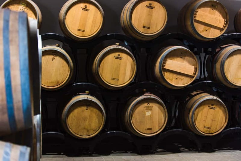 Chianciano Terme: Guided Winery Tour & Wine Tasting - Seeing the Winery and Barrique Cellar