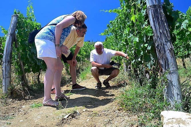 Chianti Classico and Super Tuscan 3 Winery Tour - Key points to know before booking