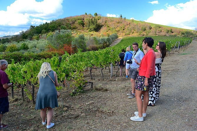 Chianti Classico and Super Tuscan 3 Winery Tour - Three wineries, three different personalities