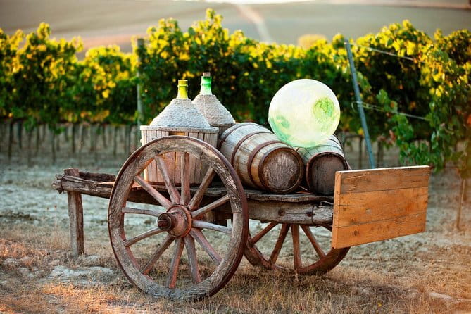 Chianti Delights: A Tale Of Two Wineries With A Vineyard Dinner - Guides, language, and group atmosphere