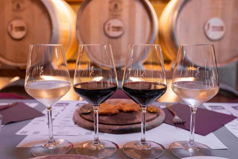 Chianti Grand Tasting: Wines, Oils & Balsamics in the Cellar - Timing, language, and access