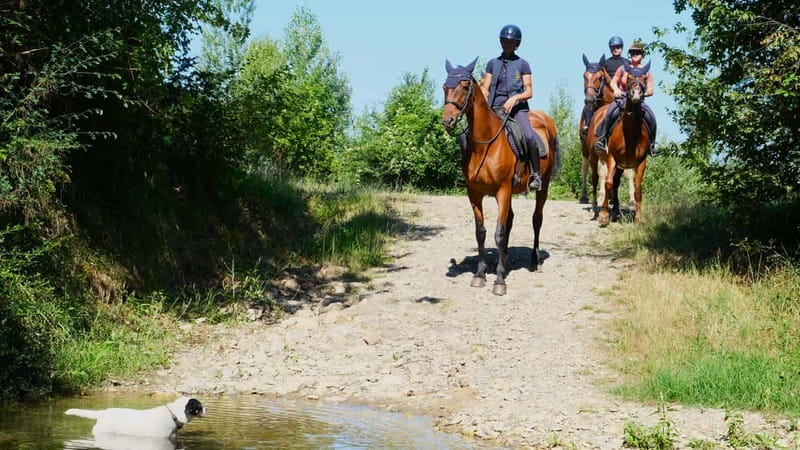 Chianti: Horseback Riding Through Vineyards and Woods - Leaving the test field for the river path