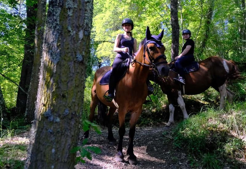 Chianti: Horseback Riding Through Vineyards and Woods - Beginner-friendly, but not a riding school