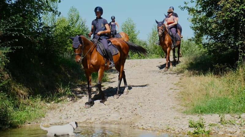 Chianti: Horseback Riding Through Vineyards and Woods - Should you book it?