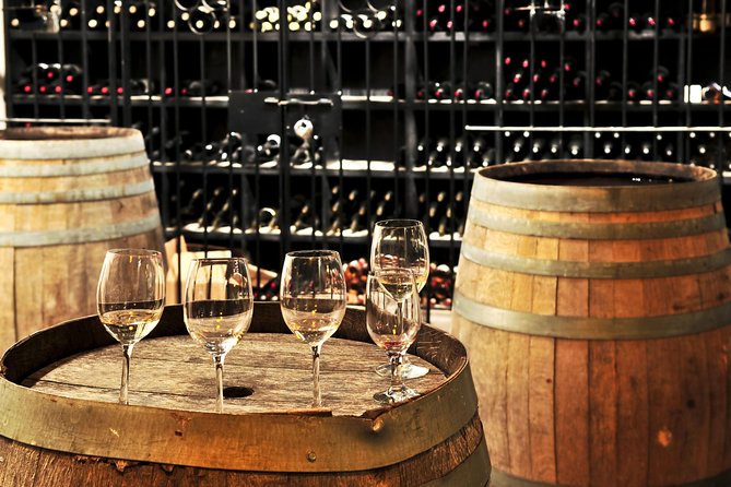 Chianti Lovers Two Wineries Tour With Lunch from Florence - Key points at a glance