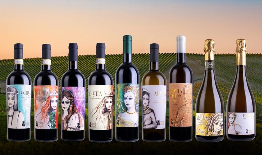 Chianti: Lunch with Wine Tasting at Poggio ai Laghi Winery - What the two-hour format means