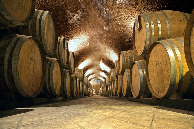 Chianti & Supertuscan Tour 2 Wineries Small Group 8 people max from Florence - Key points to know before booking