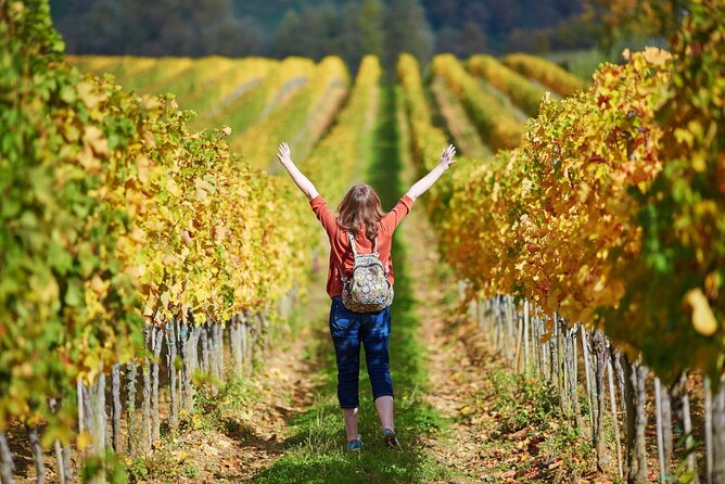 Chianti & Supertuscan Tour 2 Wineries Small Group 8 people max from Florence - What you are paying for at $377.53