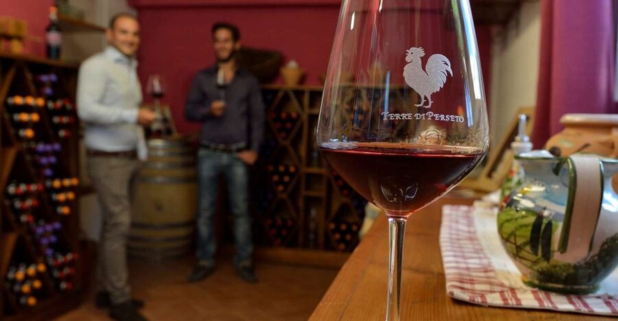 Chianti: Terre Di Perseto Winery Guided Tasting & Tour - Key points to know before you go
