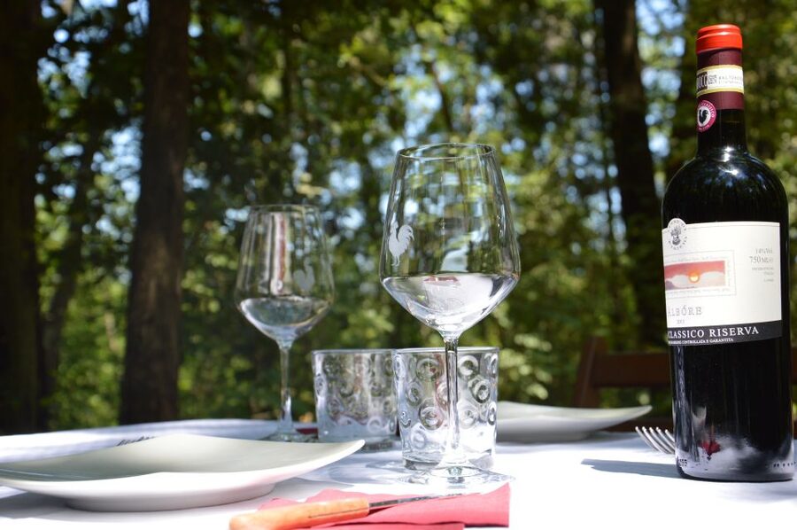 Chianti: Terre Di Perseto Winery Guided Tasting & Tour - My verdict on Terre Di Perseto