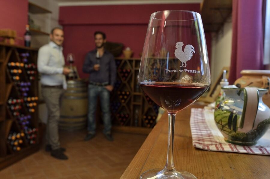 Chianti: Terre Di Perseto Winery Guided Tasting & Tour - The 25-minute cellar tour