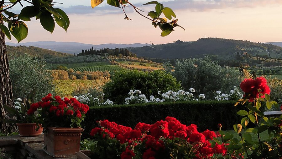 Chianti: Vineyard to Bottle Winery Visit with Tastings - Casa Sola, a working estate in Chianti