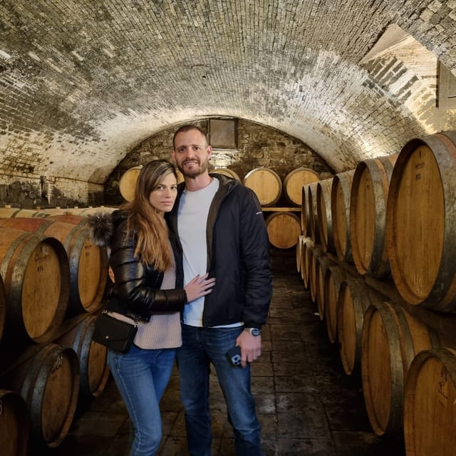 Chianti: Vineyard to Bottle Winery Visit with Tastings - Four wines, Tuscan bread, and olive oil