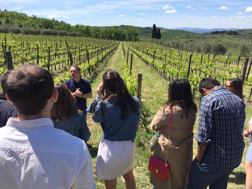 Chianti: Vineyard to Bottle Winery Visit with Tastings - What the 90-minute schedule means for you