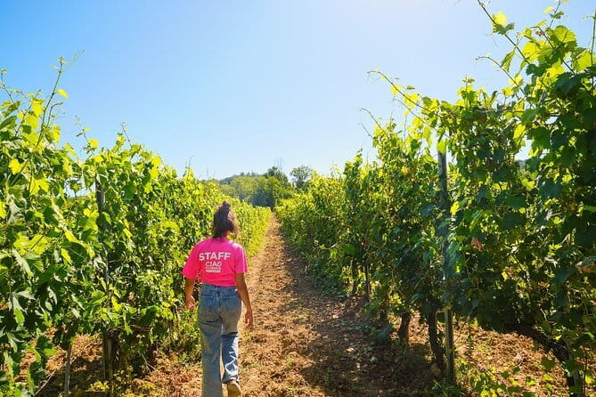 Chianti Vineyards Escape from Florence with Two Wine Tastings - The second estate: a different side of Chianti