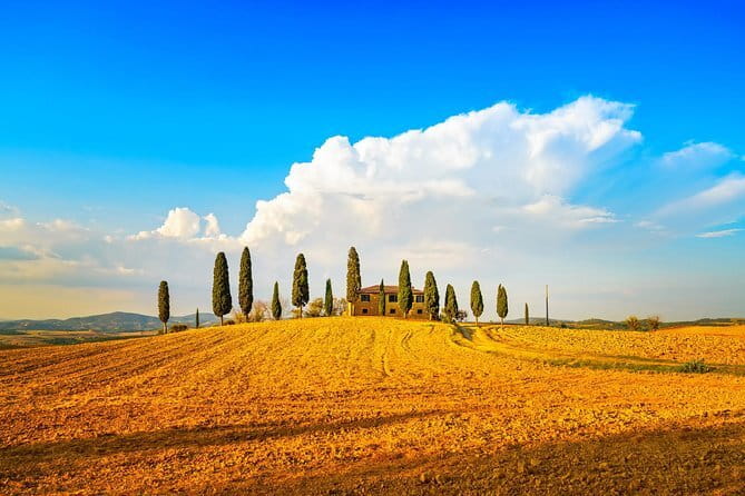 Chianti Vineyards Escape from Florence with Two Wine Tastings - Tuscan views and the golden-hour ride
