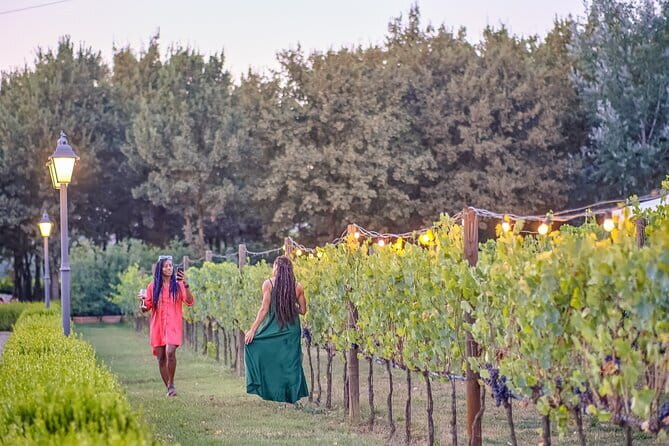 Chianti Vineyards Escape from Florence with Two Wine Tastings - Who will enjoy this half-day tour
