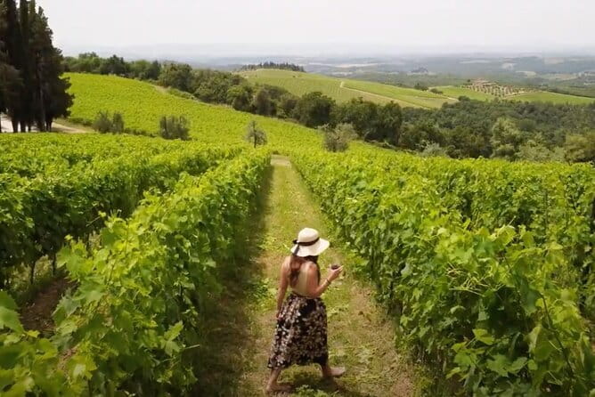 Chianti vineyards: Small-Group tour with wine tasting & Dinner - Walking through a working wine estate