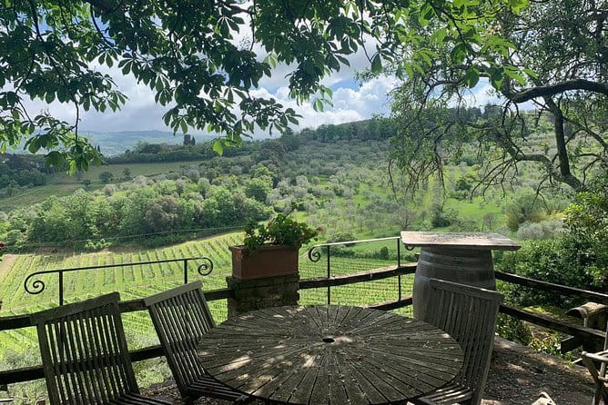 Chianti Vineyards Tours in Private Luxury Van from Florence - Why a private Chianti day works so well
