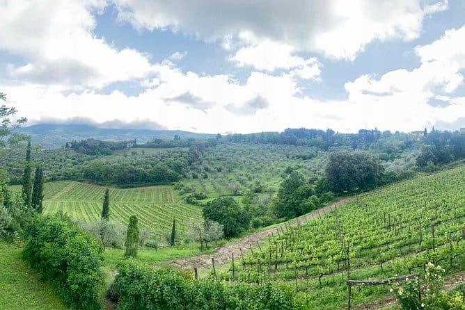 Chianti Vineyards Tours in Private Luxury Van from Florence - The Chiantigiana road and the view between stops