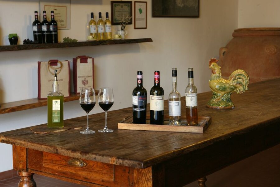 Chianti: Wine and Olive Oil Tasting with Cellar Tour - Arriving at Fattoria Santo Stefano near Greve