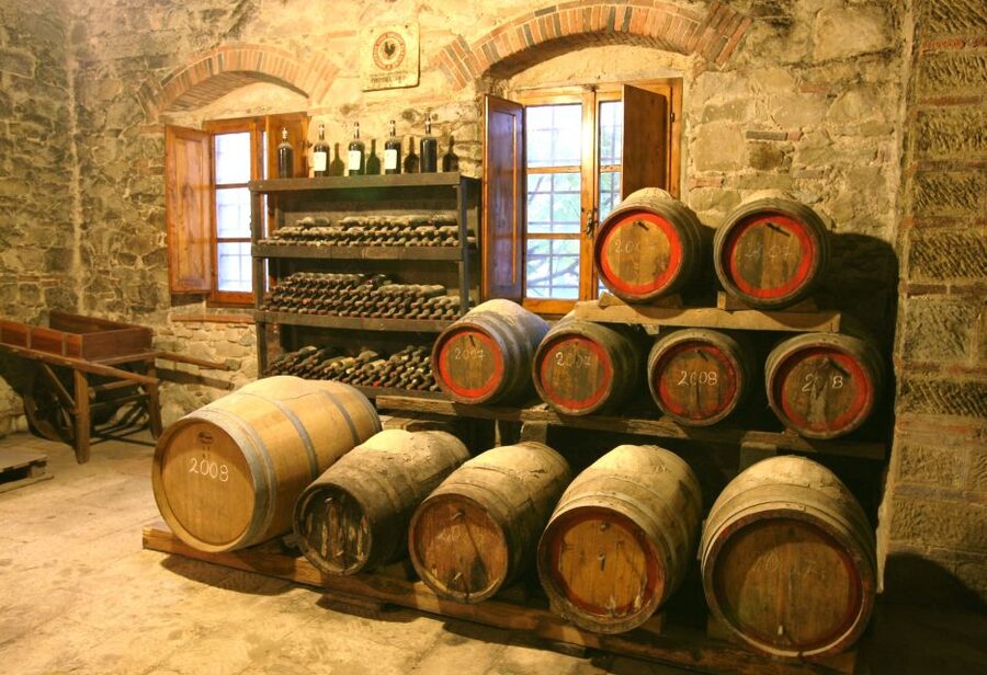 Chianti: Wine and Olive Oil Tasting with Cellar Tour - The Orciaia and Tuscan extra-virgin olive oil