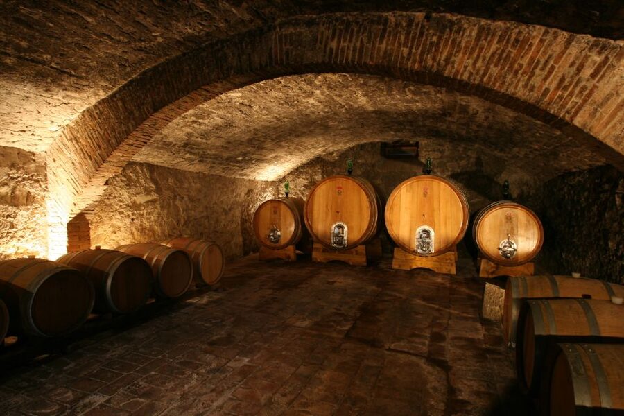 Chianti: Wine and Olive Oil Tasting with Cellar Tour - Stainless steel and cement tanks: how Chianti begins