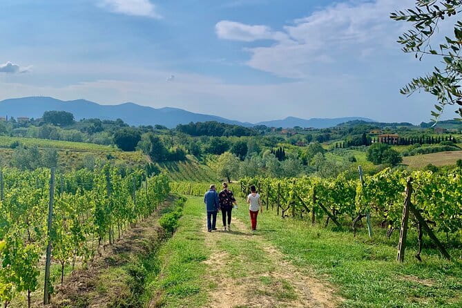 Chianti Wine Tasting Tour from Florence (2 Wineries) - The First Winery: Start With the Wine