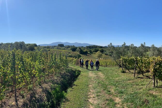 Chianti Wine Tasting Tour from Florence (2 Wineries) - Between the Wineries: A Slow Ride Through Tuscany