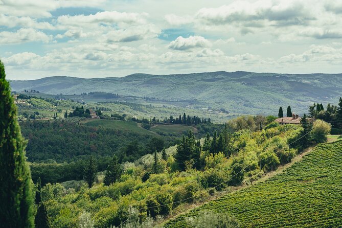 Chianti Wine Tour for Small Groups: Family Wineries & Lunch - Why this Chianti day works