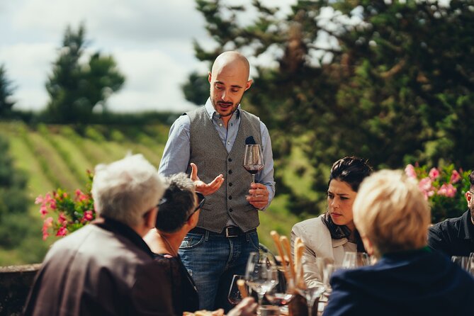 Chianti Wine Tour for Small Groups: Family Wineries & Lunch - Three family wineries, three views of Chianti
