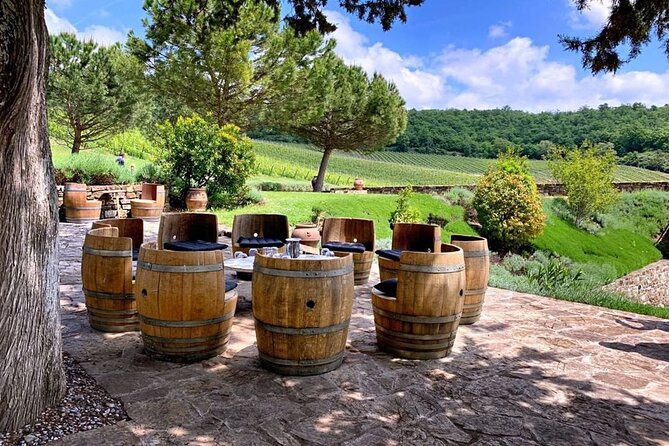 Chianti Wine Tour for Small Groups: Family Wineries & Lunch - Organic farming is part of the story