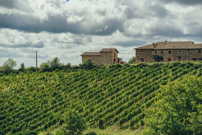 Chianti Wine Tour for Small Groups: Family Wineries & Lunch - Is $250.20 a fair price?