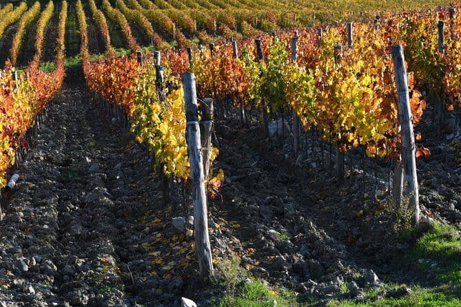 Chianti Wine Tour from Florence to San Gimignano with 2 Wineries - Piazzale Michelangelo gives you a quick Florence overview